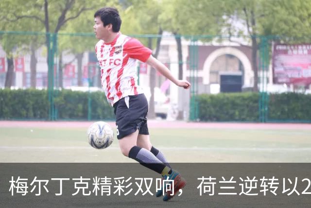梅尔丁克精彩双响，荷兰逆转以2-1取胜