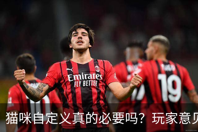猫咪自定义真的必要吗？玩家意见大碰撞