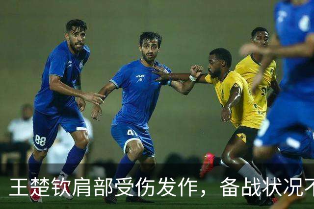 王楚钦肩部受伤发作，备战状况不容乐观